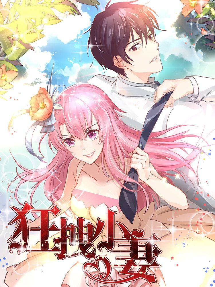 狂拽小妻漫画封面